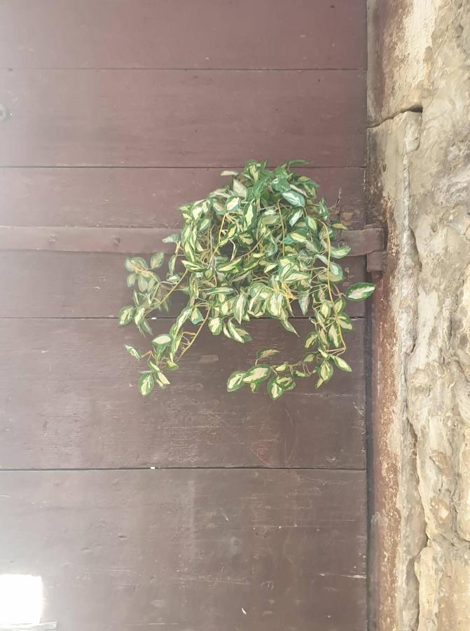 Apartmani Nedo スプリト エクステリア 写真